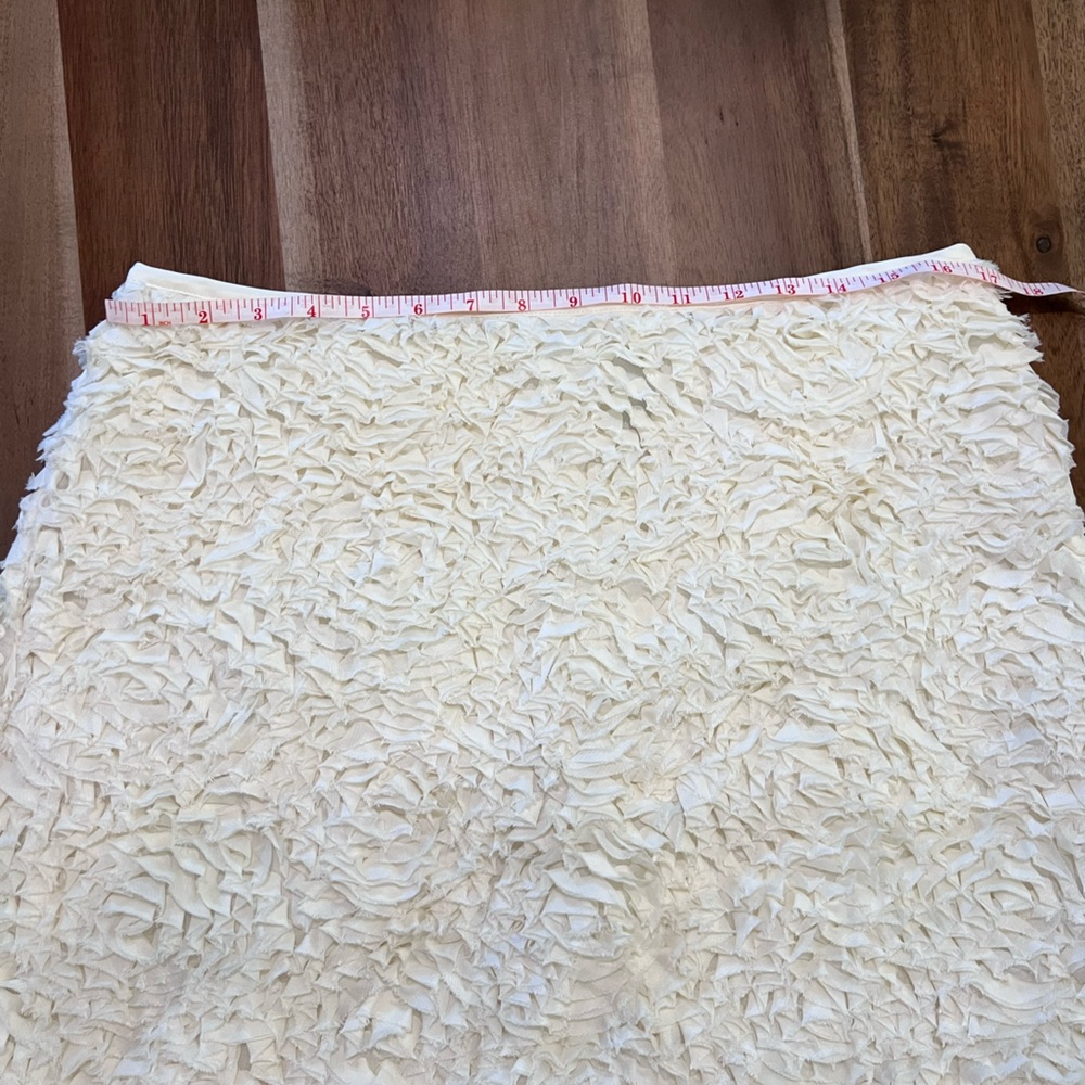 Anthropologie Plush Tulle Mini Skirt - Picture 7 of 11
